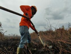 Dewan Minta Pemerintah Gencar Sosialisasi Soal Aturan Bakar Lahan Cegah Karhutla