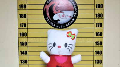 Sabu Diselundupkan dalam Boneka Hello Kitty, Polisi Bongkar Jaringan Antar Provinsi